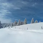 Primevere 6 Personnes Avec Sauna Tonneau * 르메니