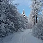 Primevere 6 Personnes Avec Sauna Tonneau 르메니