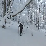 샬레 Primevere 6 Personnes Avec Sauna Tonneau *