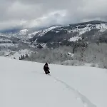 Primevere 6 Personnes Avec Sauna Tonneau 샬레 르메니