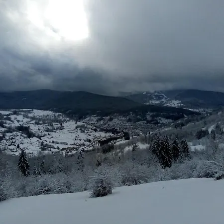 Primevere 6 Personnes Avec Sauna Tonneau Chalet