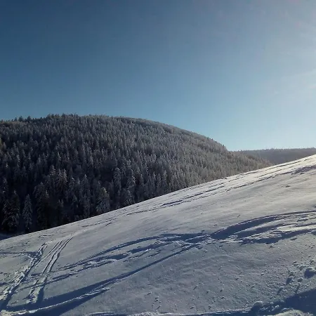 Primevere 6 Personnes Avec Sauna Tonneau Chalet