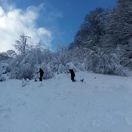Chalet Primevere 6 Personnes Avec Sauna Tonneau Le Menil