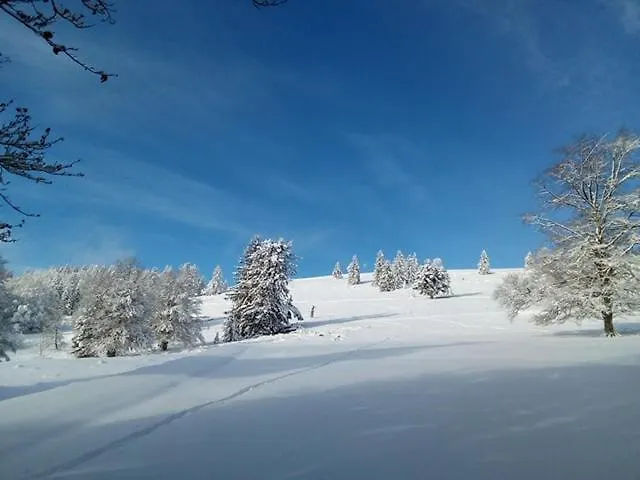 Primevere 6 Personnes Avec Sauna Tonneau