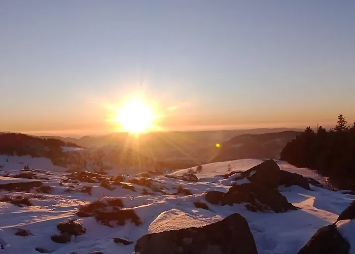 Primevere 6 Personnes Avec Sauna Tonneau *