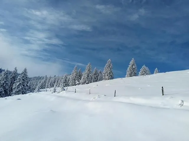 Primevere 6 Personnes Avec Sauna Tonneau * Le Menil