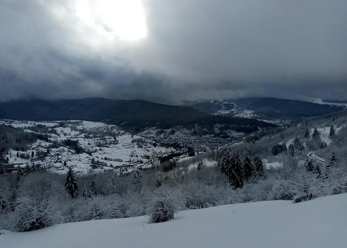 Primevere 6 Personnes Avec Sauna Tonneau Chalet