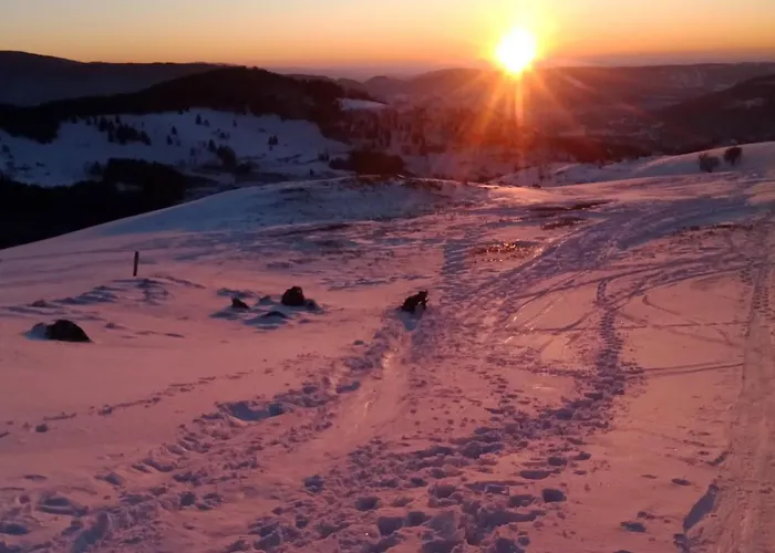 Primevere 6 Personnes Avec Sauna Tonneau Chalet Le Menil