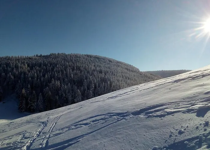 Primevere 6 Personnes Avec Sauna Tonneau Chalet