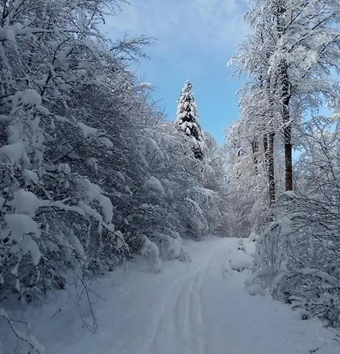 Primevere 6 Personnes Avec Sauna Tonneau Le Menil