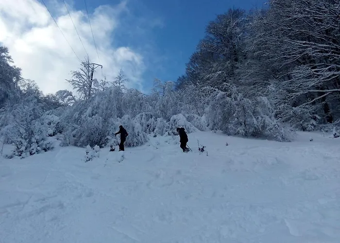 Chalet Primevere 6 Personnes Avec Sauna Tonneau Le Menil