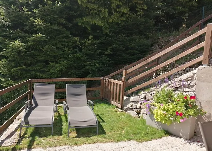 Primevere 6 Personnes Avec Sauna Tonneau *