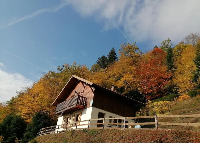 Primevere 6 Personnes Avec Sauna Tonneau Chalet *