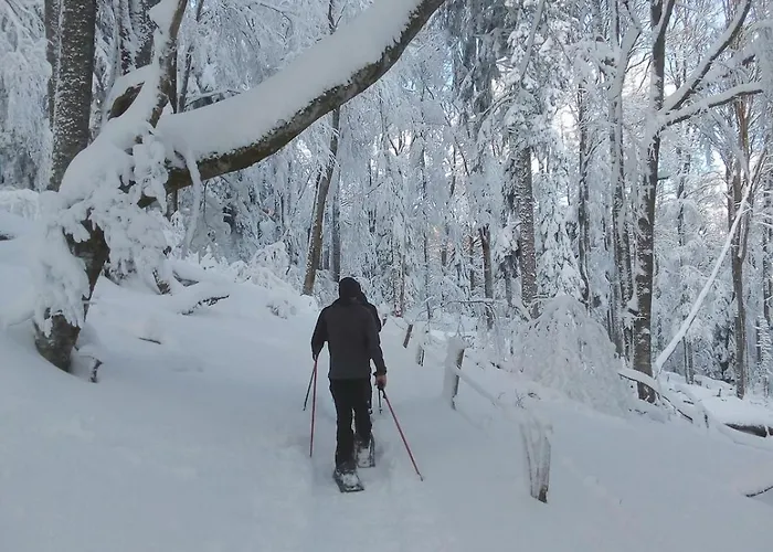 Chalet Primevere 6 Personnes Avec Sauna Tonneau *