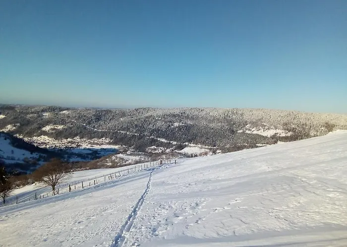 Primevere 6 Personnes Avec Sauna Tonneau Chalet *