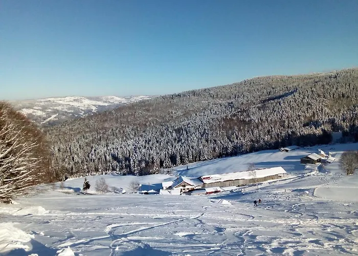 Primevere 6 Personnes Avec Sauna Tonneau