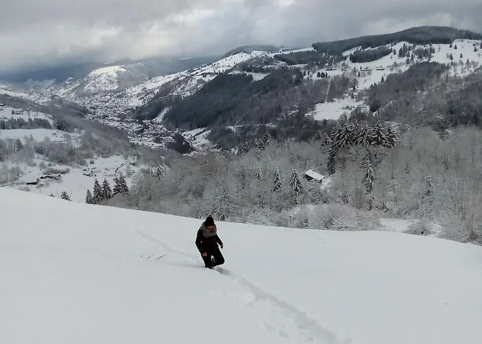 Primevere 6 Personnes Avec Sauna Tonneau Chalet Le Menil