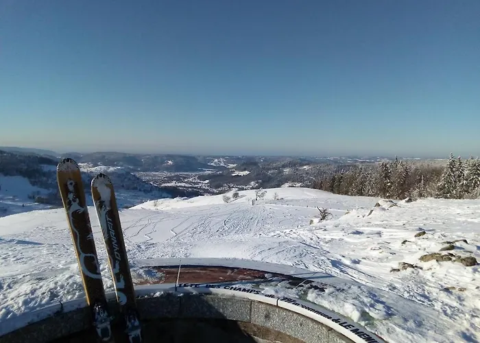 Chalet Primevere 6 Personnes Avec Sauna Tonneau *